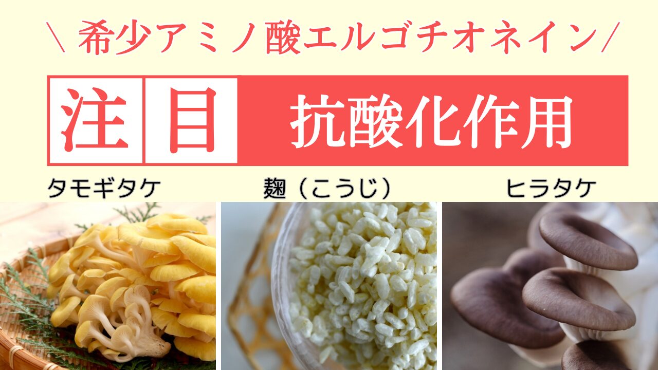 エルゴチオネインの健康維持と抗酸化を解説するほどよい堂のイメージ画像