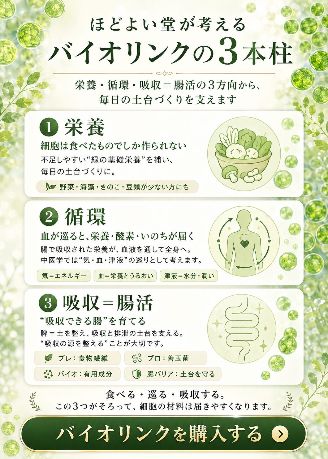 栄養 循環 吸収を整えるほどよい堂の健康提案