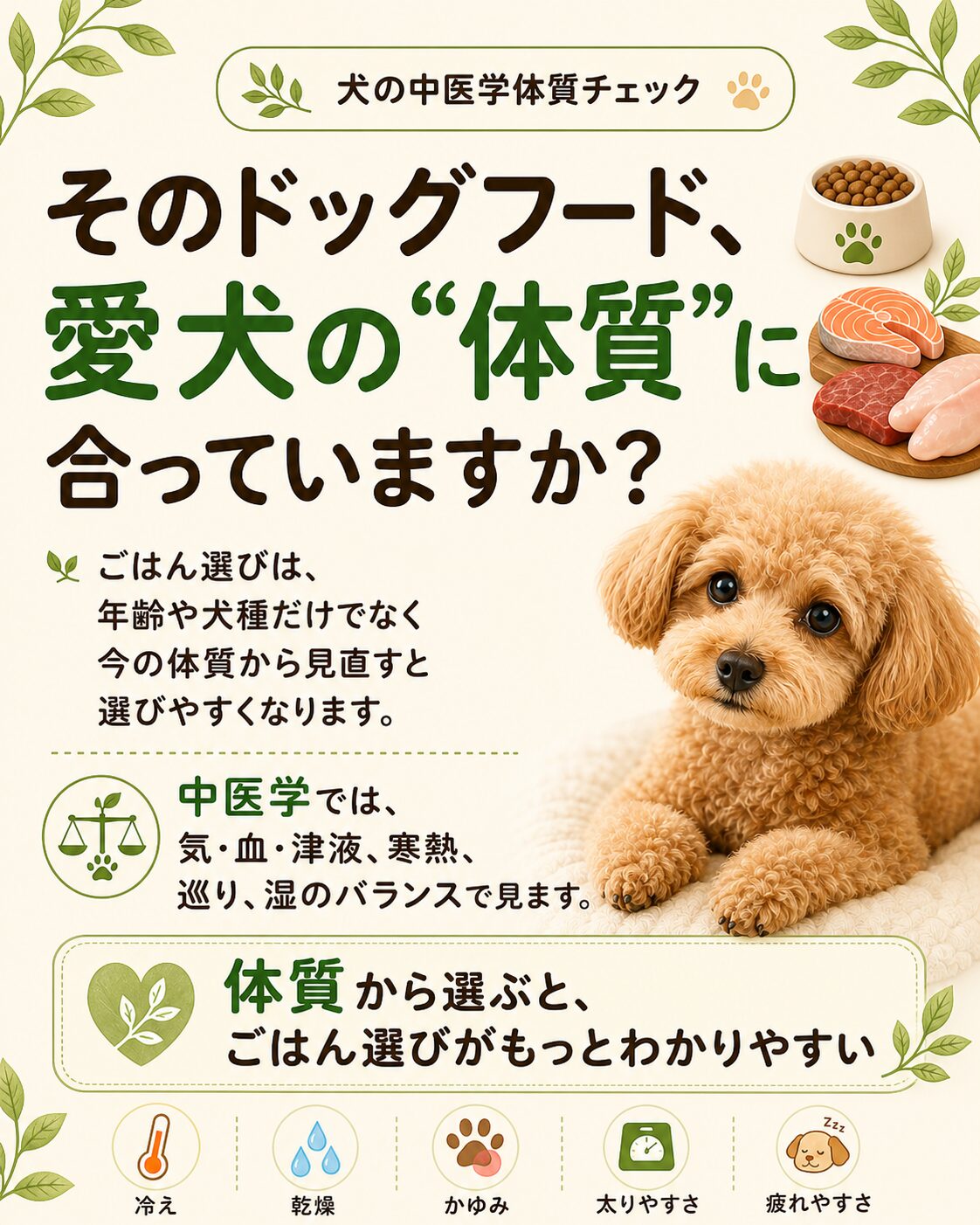 愛犬の体質で選ぶ薬膳的ドッグフード診断