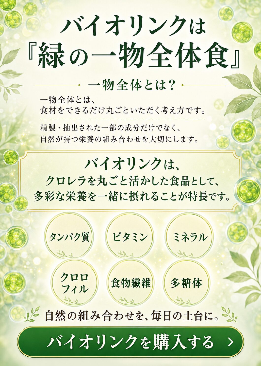 鉄不足や貧血ケアにおすすめのクロレラとバイオリンク