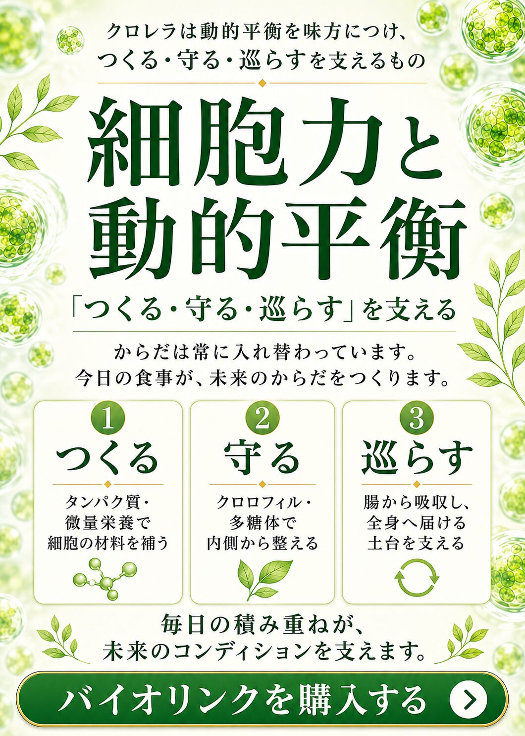細胞力と動的平衡 つくる守る巡らすを支えるクロレライメージ