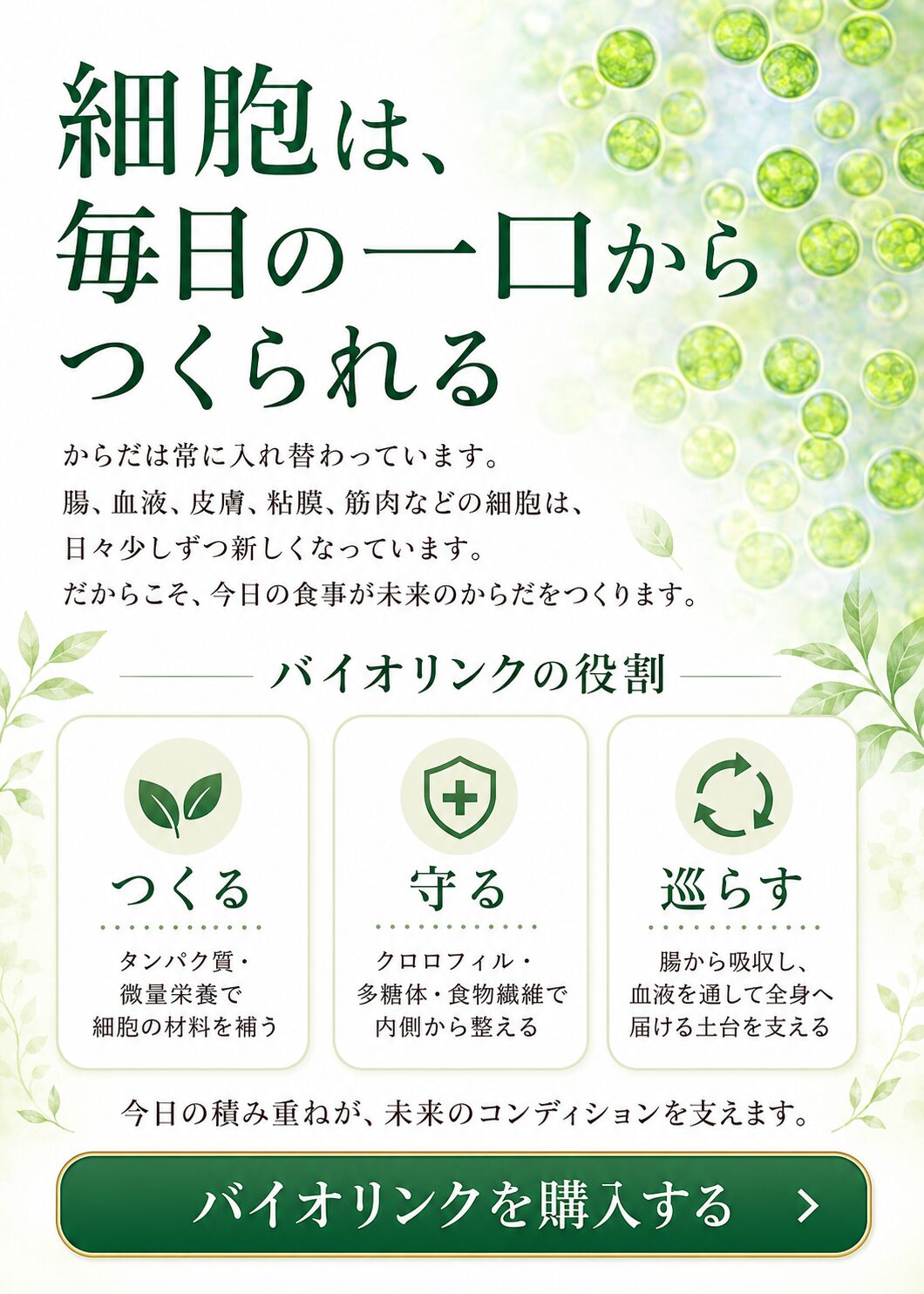 一口一口が未来のからだをつくる 食養生とクロレラ