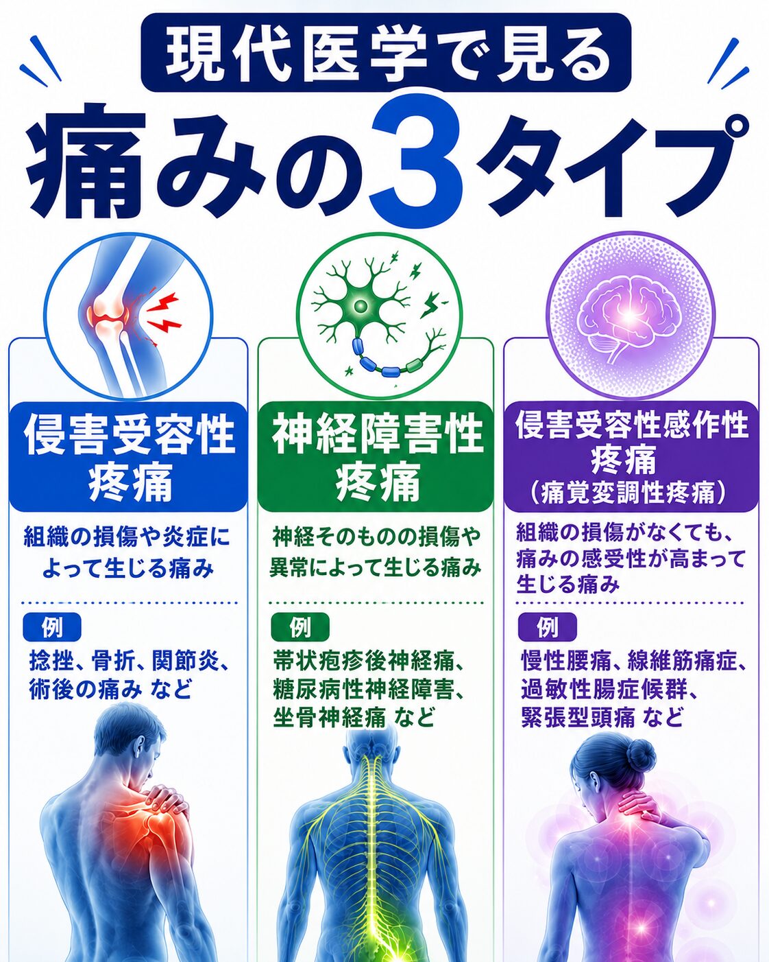 現代医学で見る痛みの3タイプ。侵害受容性疼痛、神経障害性疼痛、痛覚変調性疼痛を解説する画像