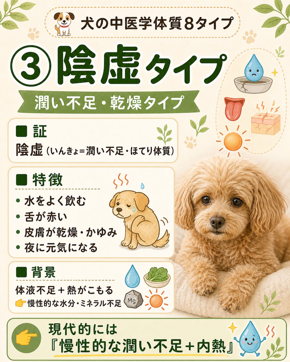 犬の陰虚タイプ