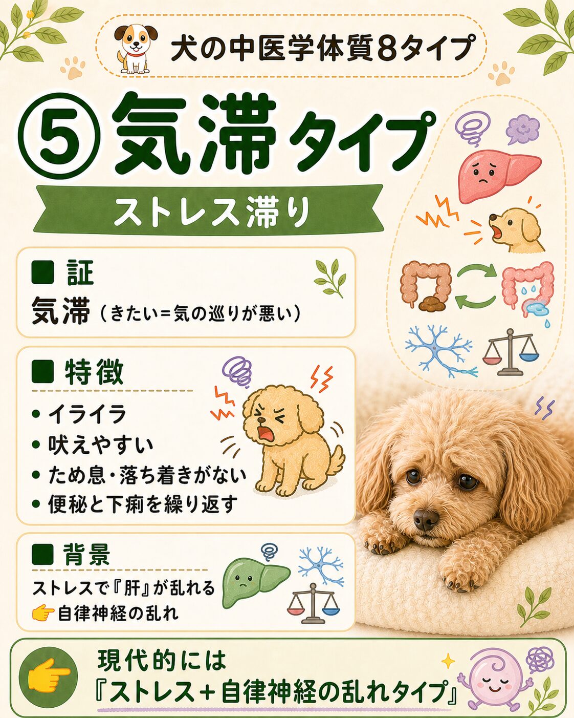 犬の気滞タイプ