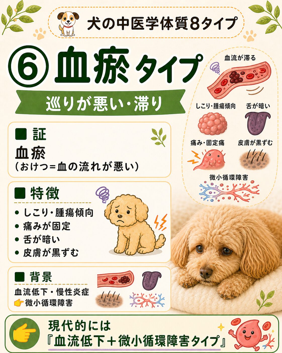 犬の血瘀タイプ