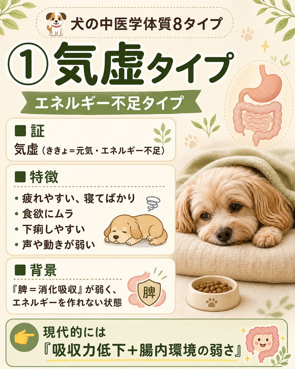 犬の気虚タイプ
