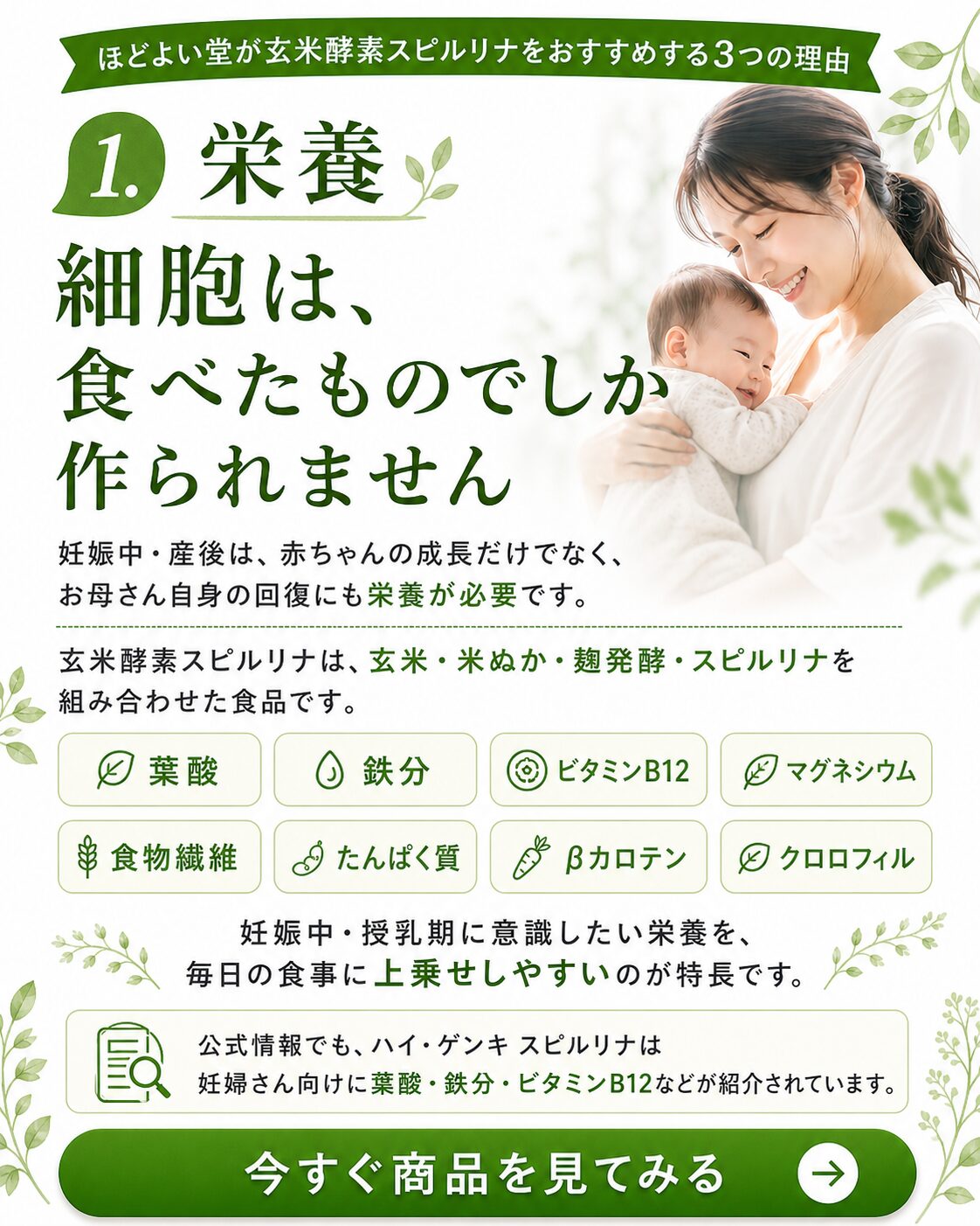 玄米酵素スピルリナをおすすめする理由 栄養 葉酸 鉄分 ビタミンB12 食物繊維