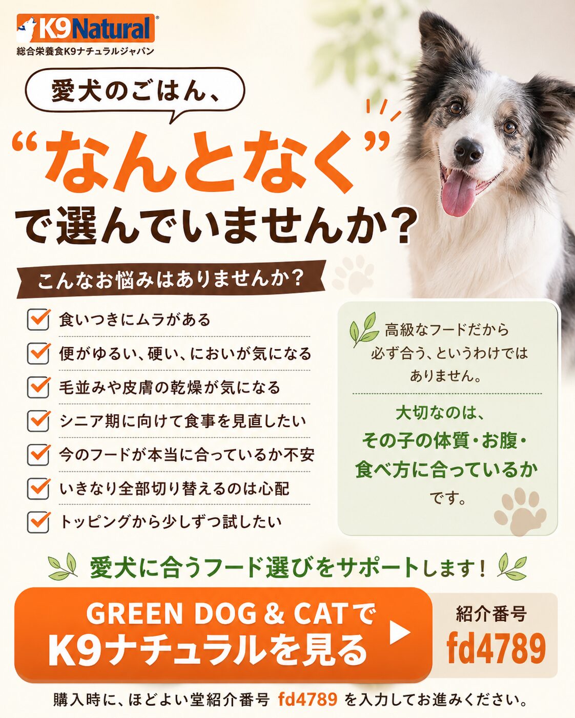 愛犬のごはん選びで迷いやすいポイントとK9ナチュラルの案内