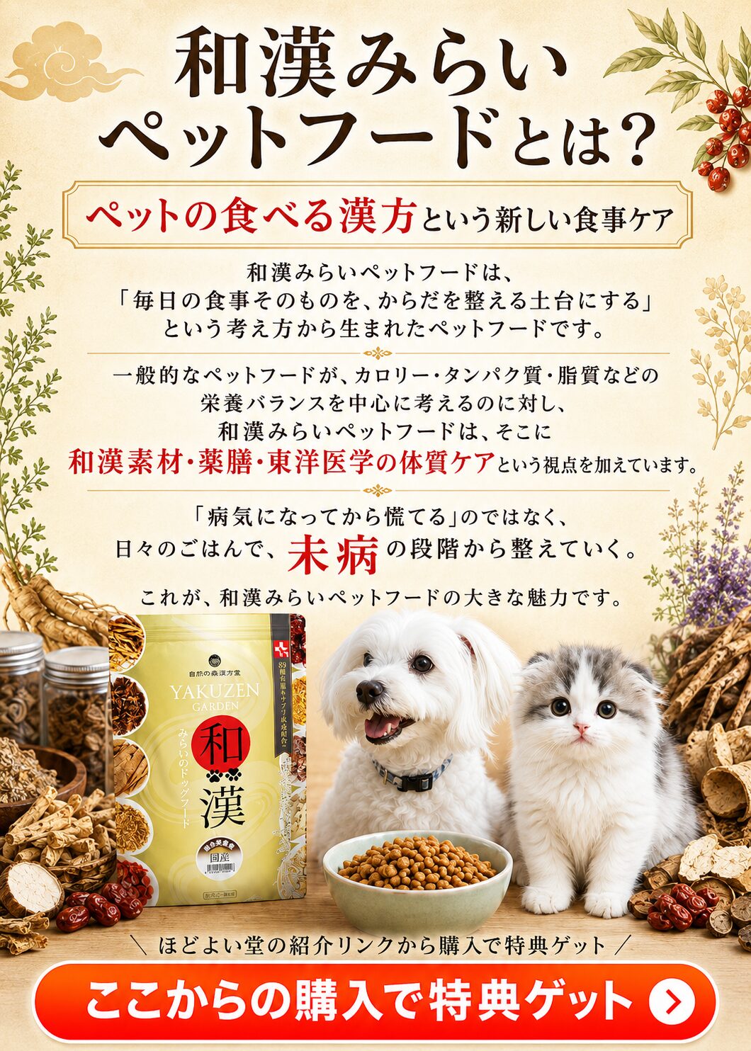 和漢みらいペットフードとは何かをペットの食べる漢方として解説した画像