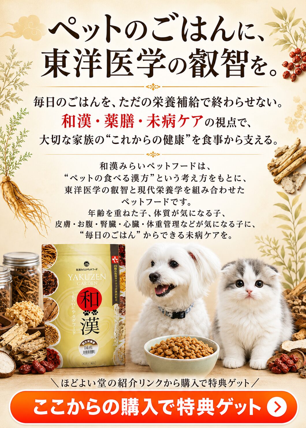 和漢みらいペットフードを東洋医学と未病ケアの視点で紹介するファーストビュー画像