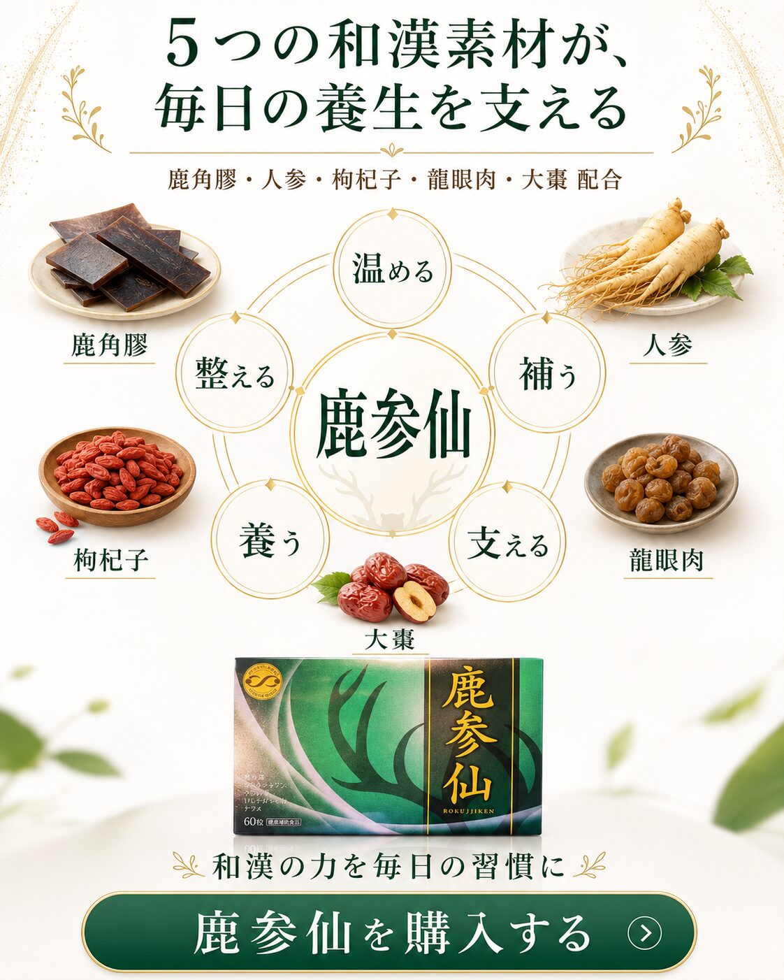 鹿参仙 5つの和漢素材 鹿角膠 人参 枸杞子 龍眼肉 大棗