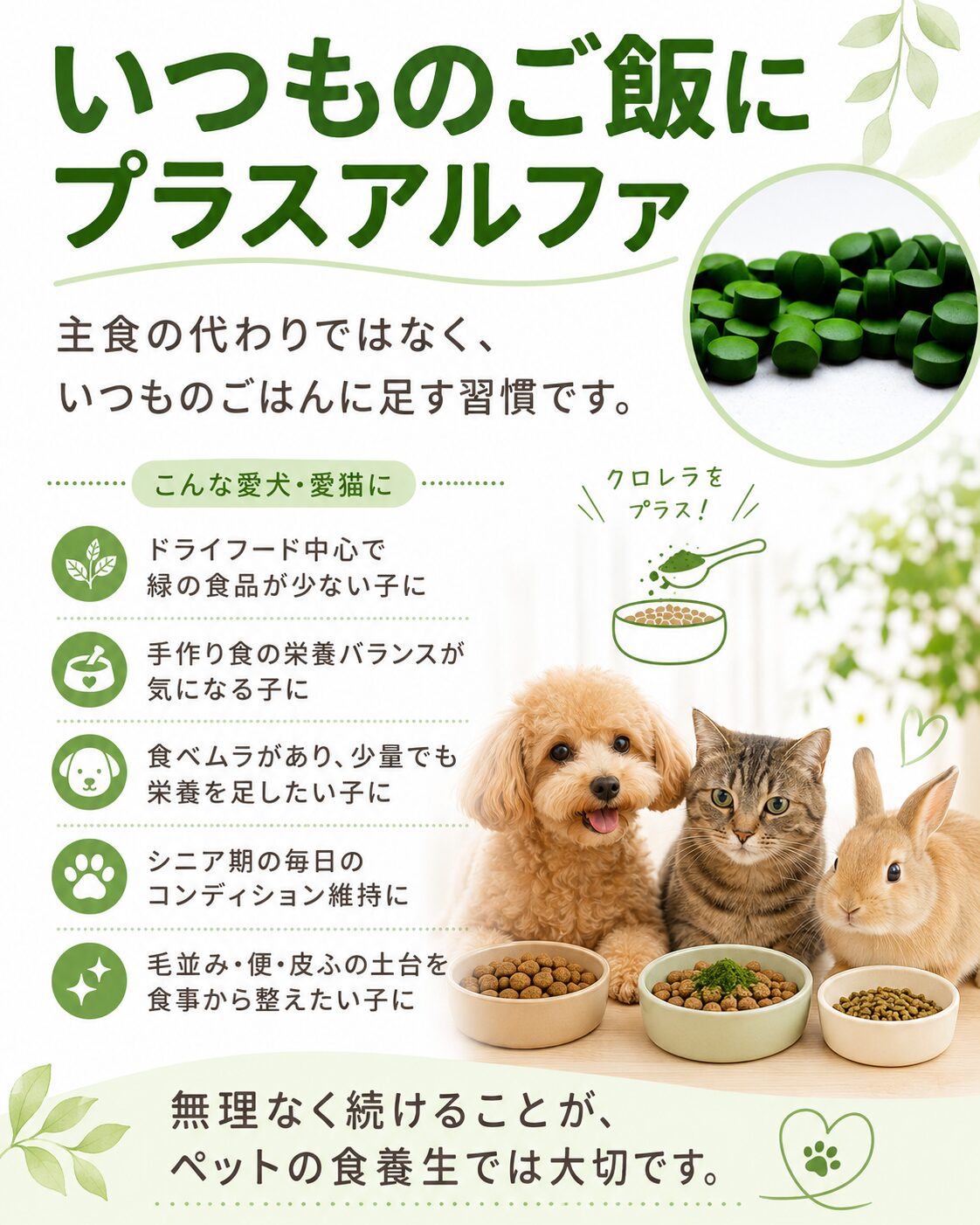 いつものご飯にプラスアルファとしてクロレラをおすすめしたい愛犬愛猫のイメージ