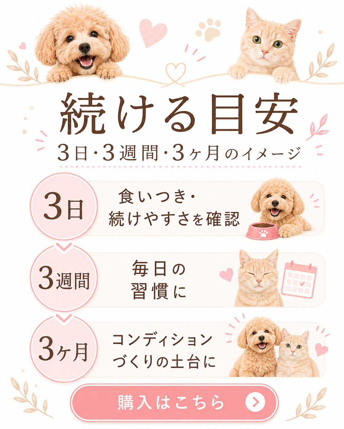 3日・3週間・3ヶ月の継続イメージ