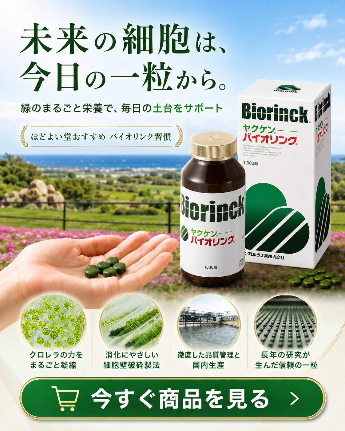 バイオリンク クロレラ 毎日の健康習慣 購入ページ