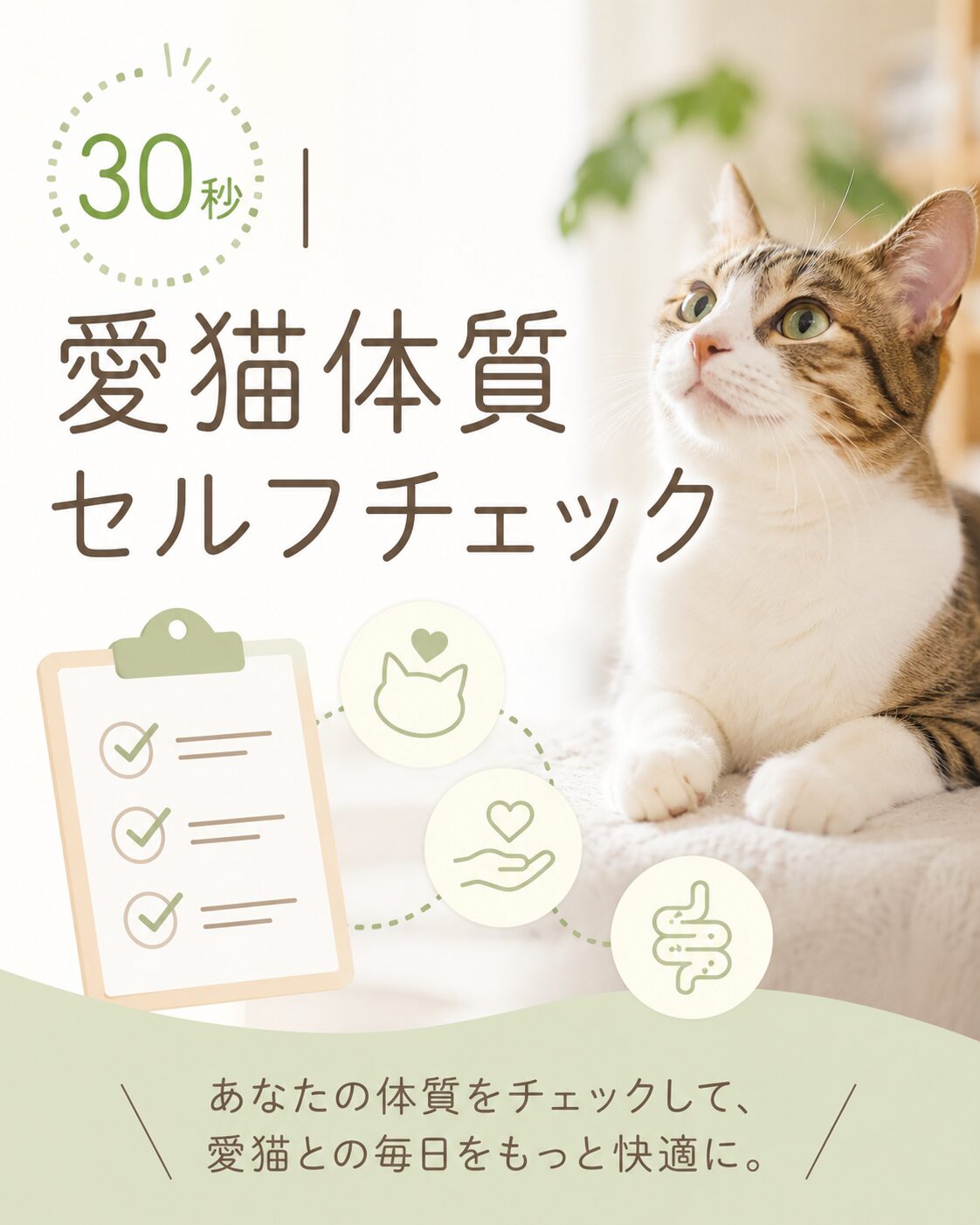 まずは30秒|愛猫体質セルフチェック