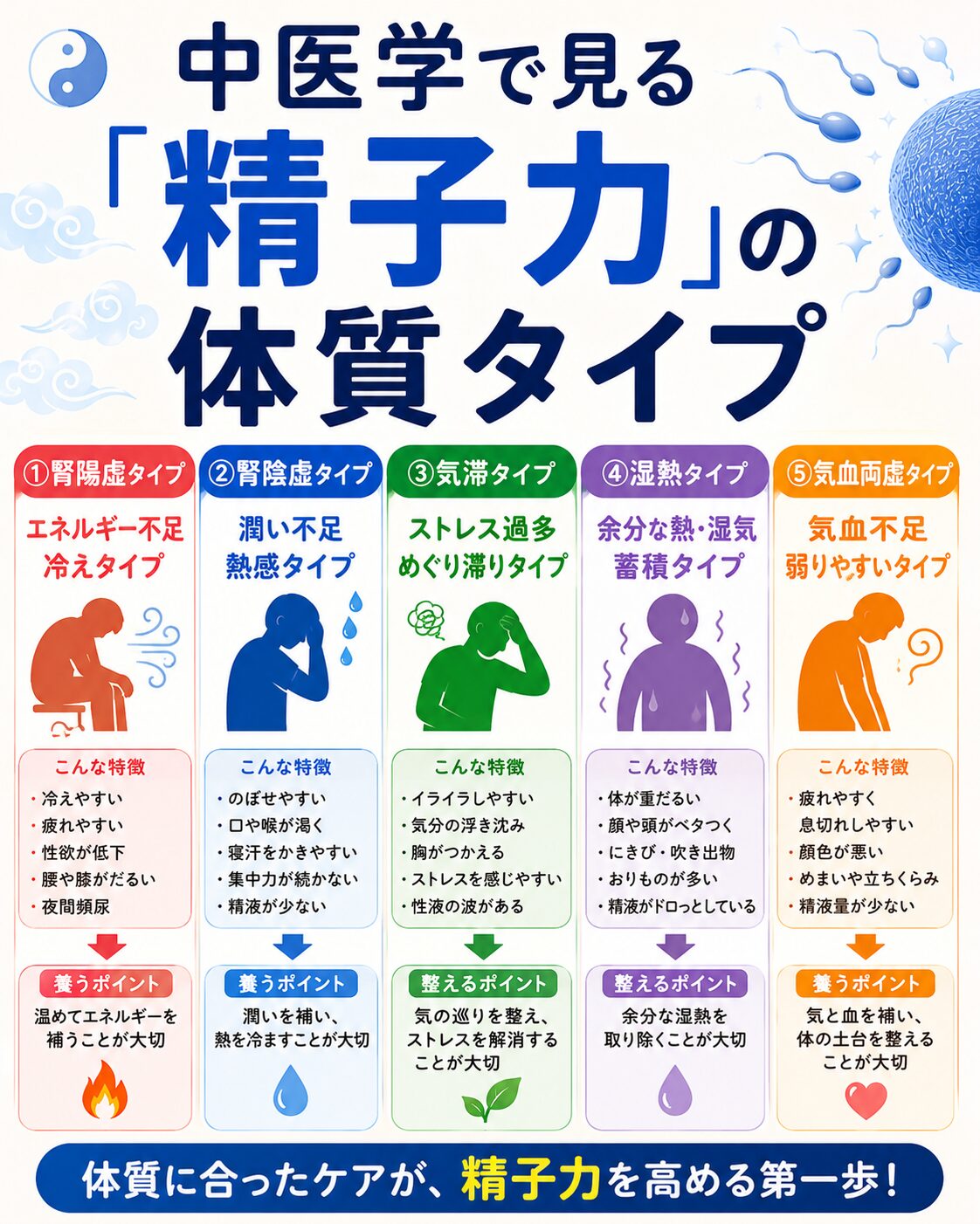 中医学で見る精子力の体質タイプと漢方体質改善のイメージ画像