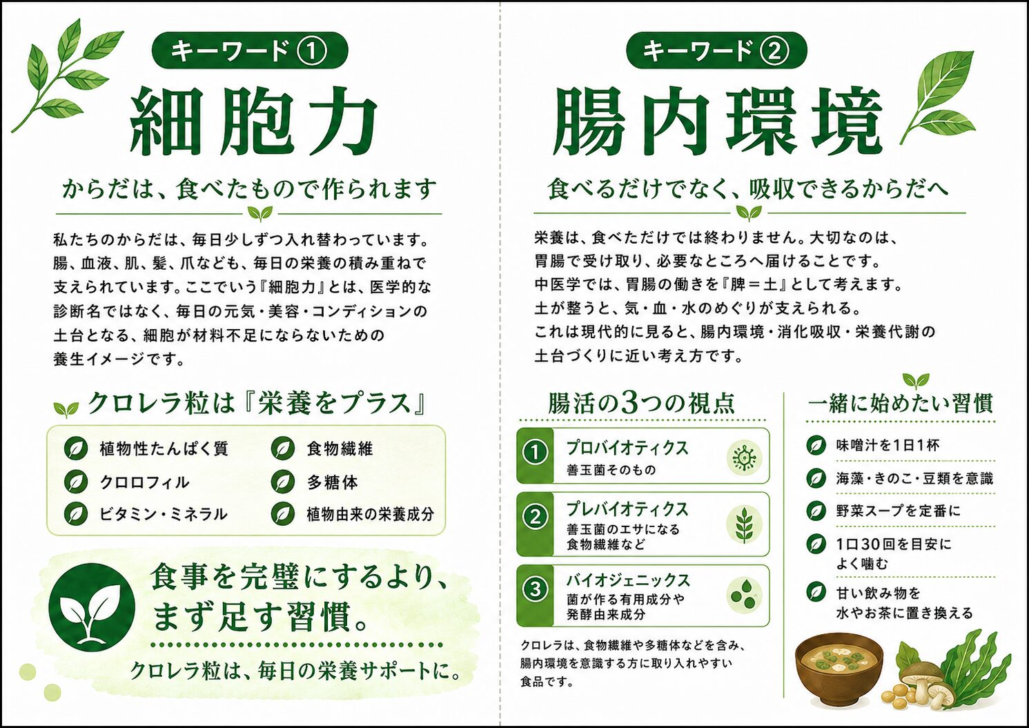 クロレラで細胞力と腸内環境を意識した栄養習慣を支えるイメージ