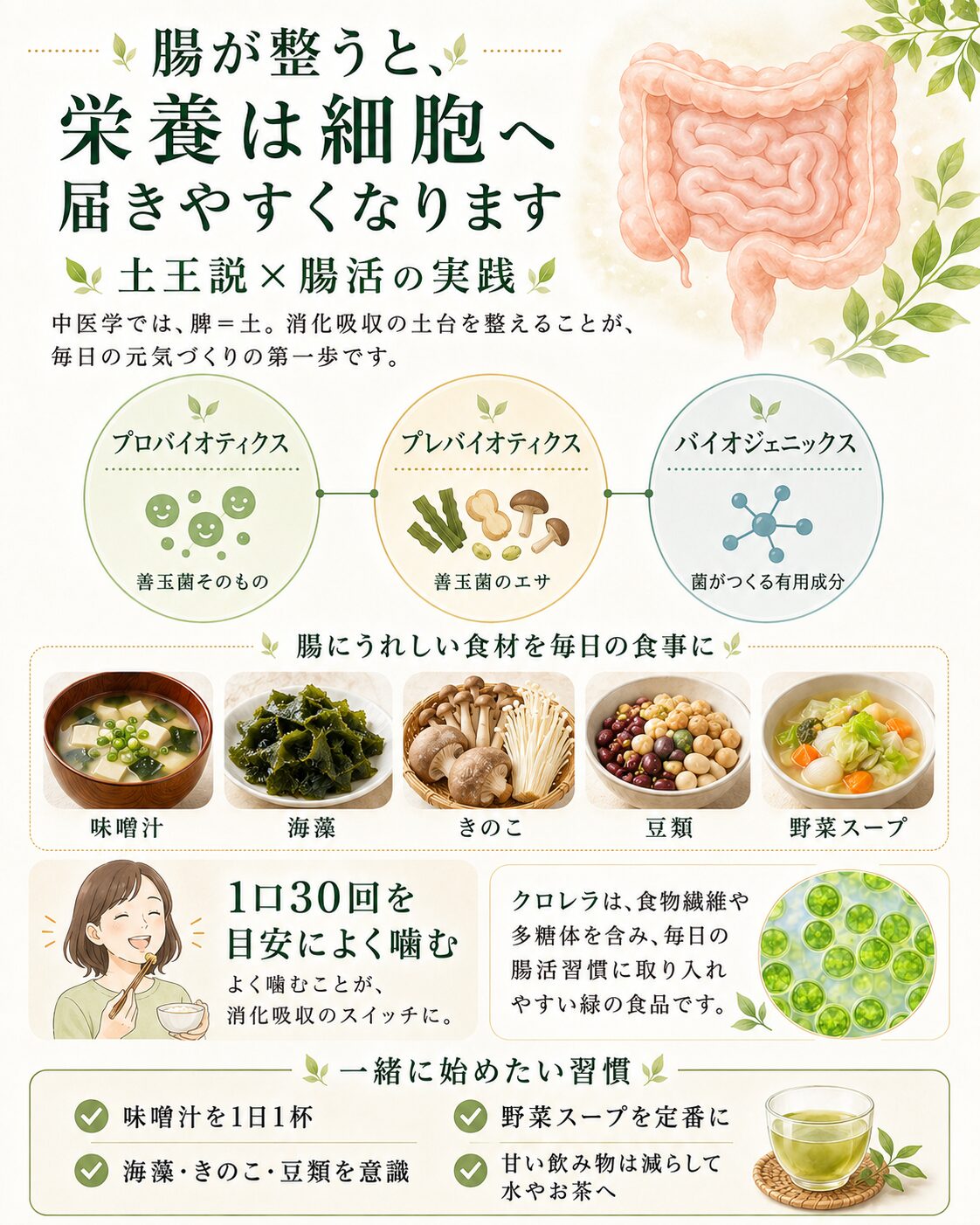 クロレラ 腸活 栄養 細胞サポート ほどよい堂