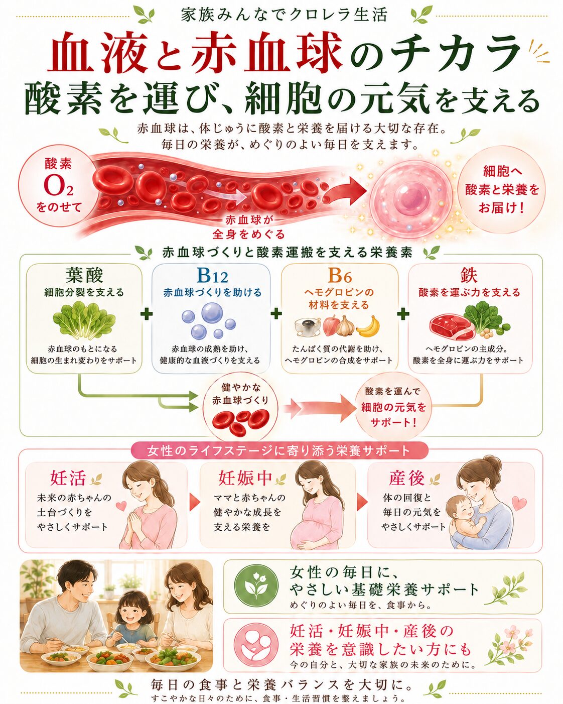 クロレラ 赤血球 栄養サポート ほどよい堂