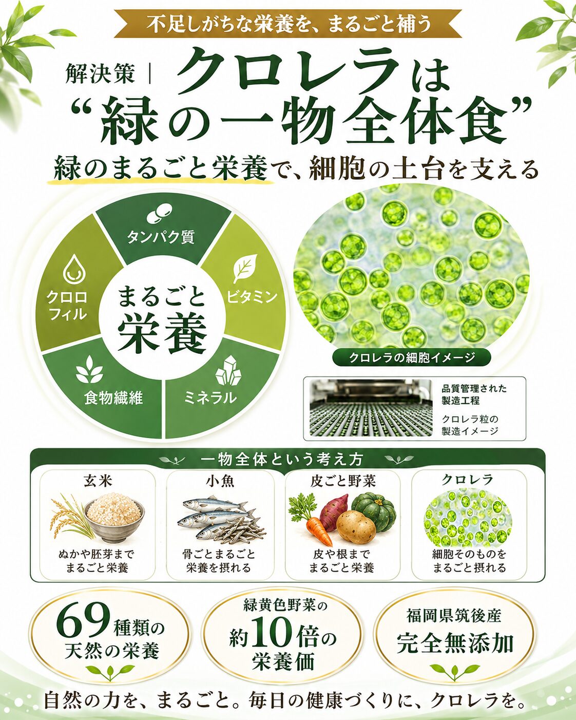 クロレラ 緑のまるごと食品 自然な栄養 ほどよい堂