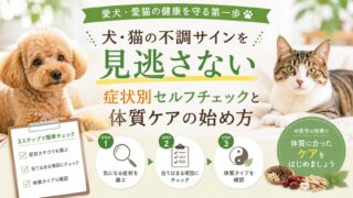 犬・猫の不調サインを見逃さない|症状別セルフチェックと体質ケアの始め方