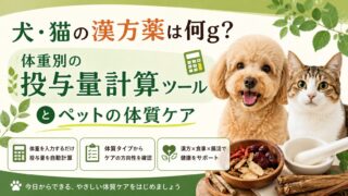 犬・猫の漢方薬は何g?体重別の投与量計算ツールとペットの体質ケア