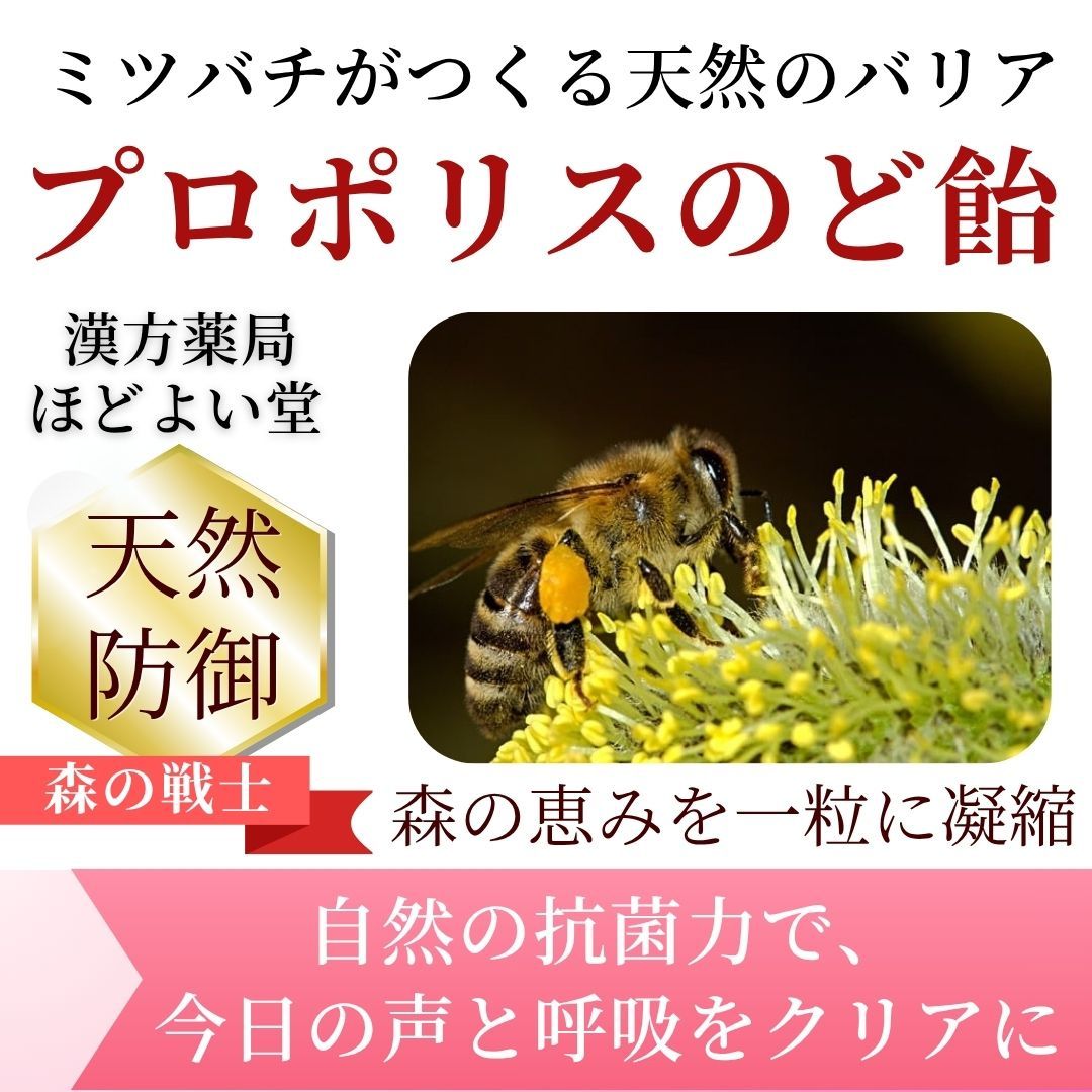ほどよい堂で購入できるGRANVÓプロポリスのど飴