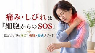 痛み・しびれは「細胞からのSOS」|痛み止めに頼りすぎない漢方×薬膳×腸活ケア