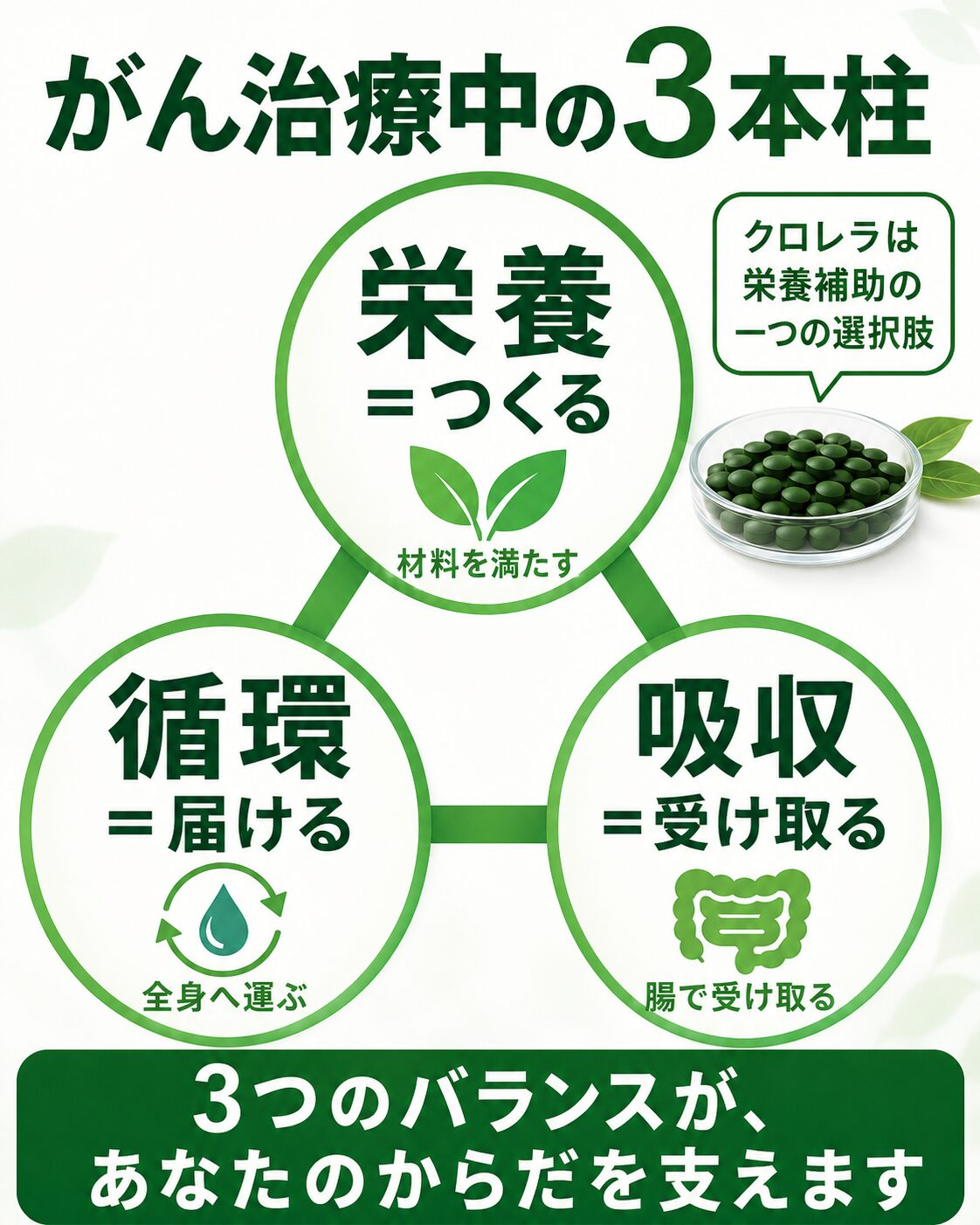 がん治療中の栄養、循環、吸収を支えるほどよい堂の3本柱