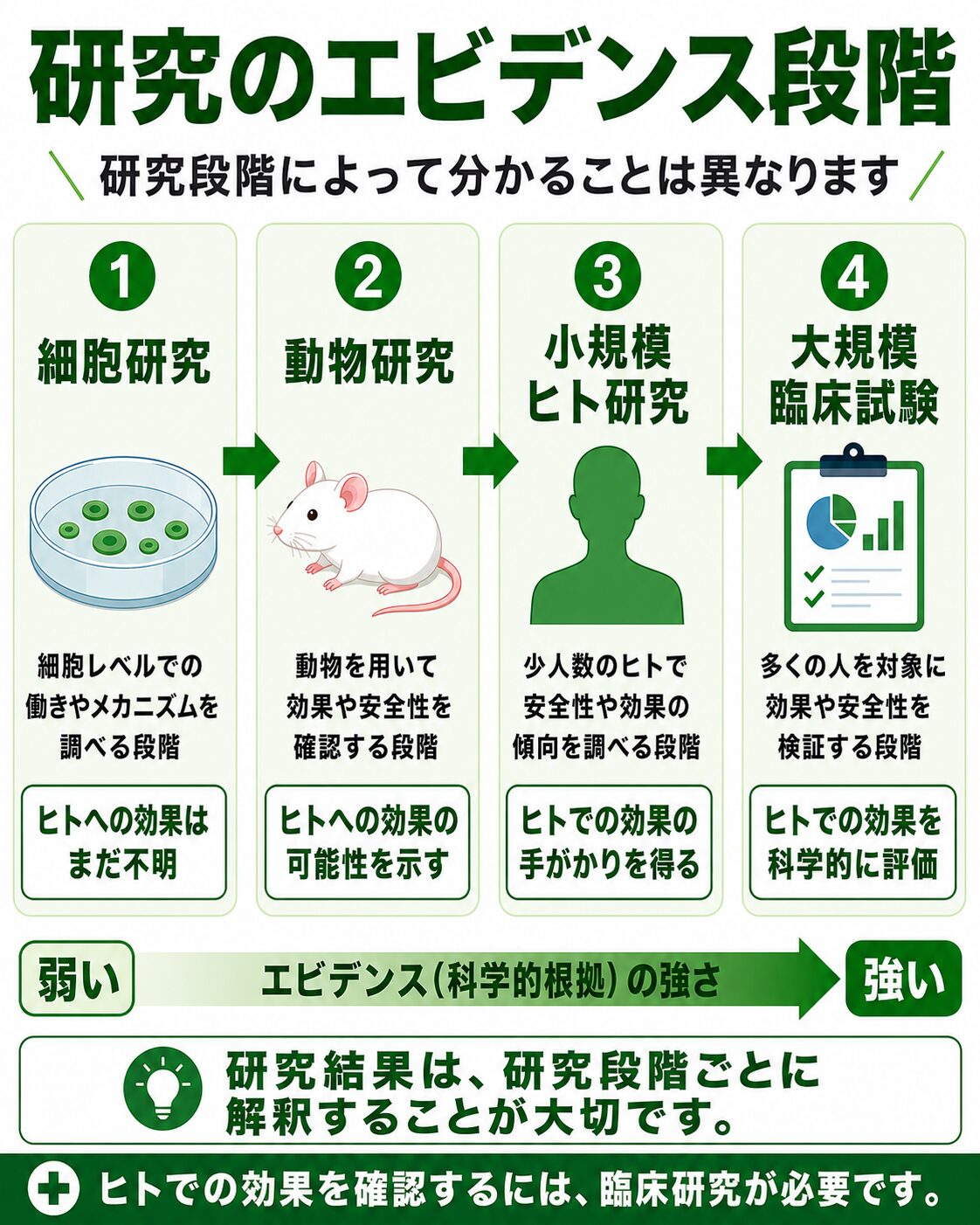 クロレラとがん研究のエビデンスを細胞研究、動物研究、ヒト研究に分けた図