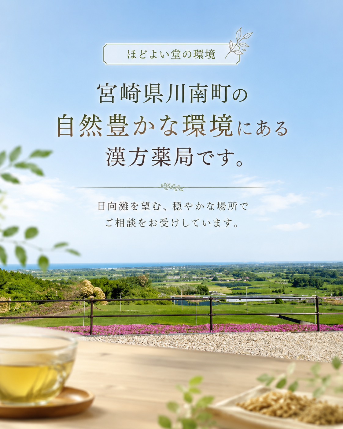 日向灘を望む宮崎県川南町の自然豊かな環境にある漢方薬局ほどよい堂