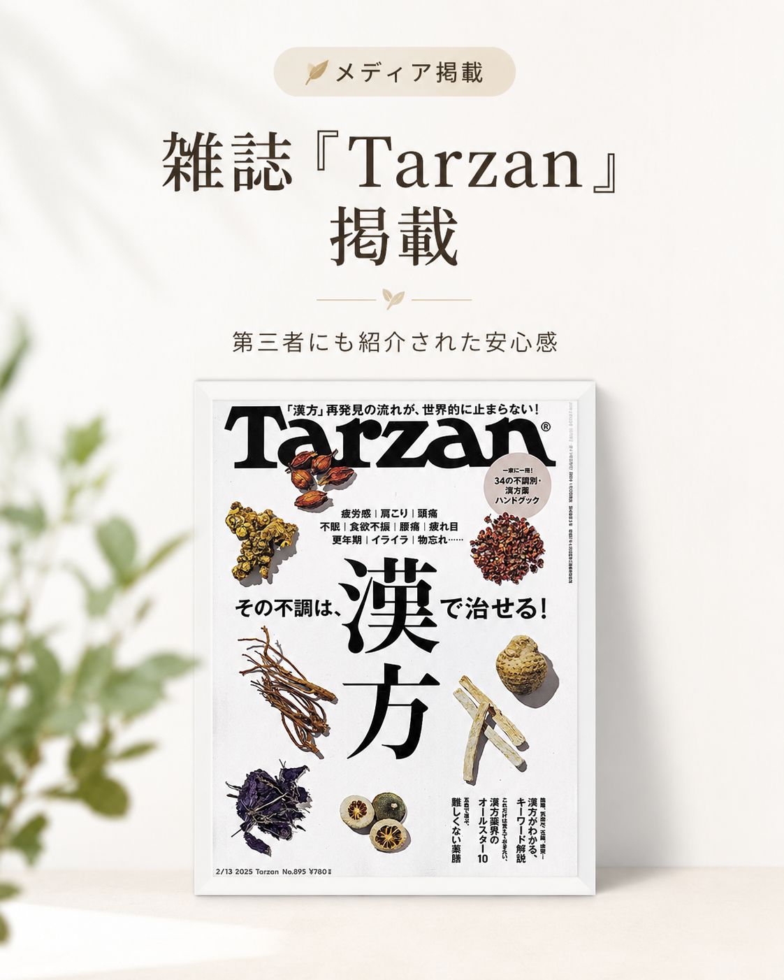 雑誌Tarzanに掲載された宮崎県川南町の漢方薬局ほどよい堂