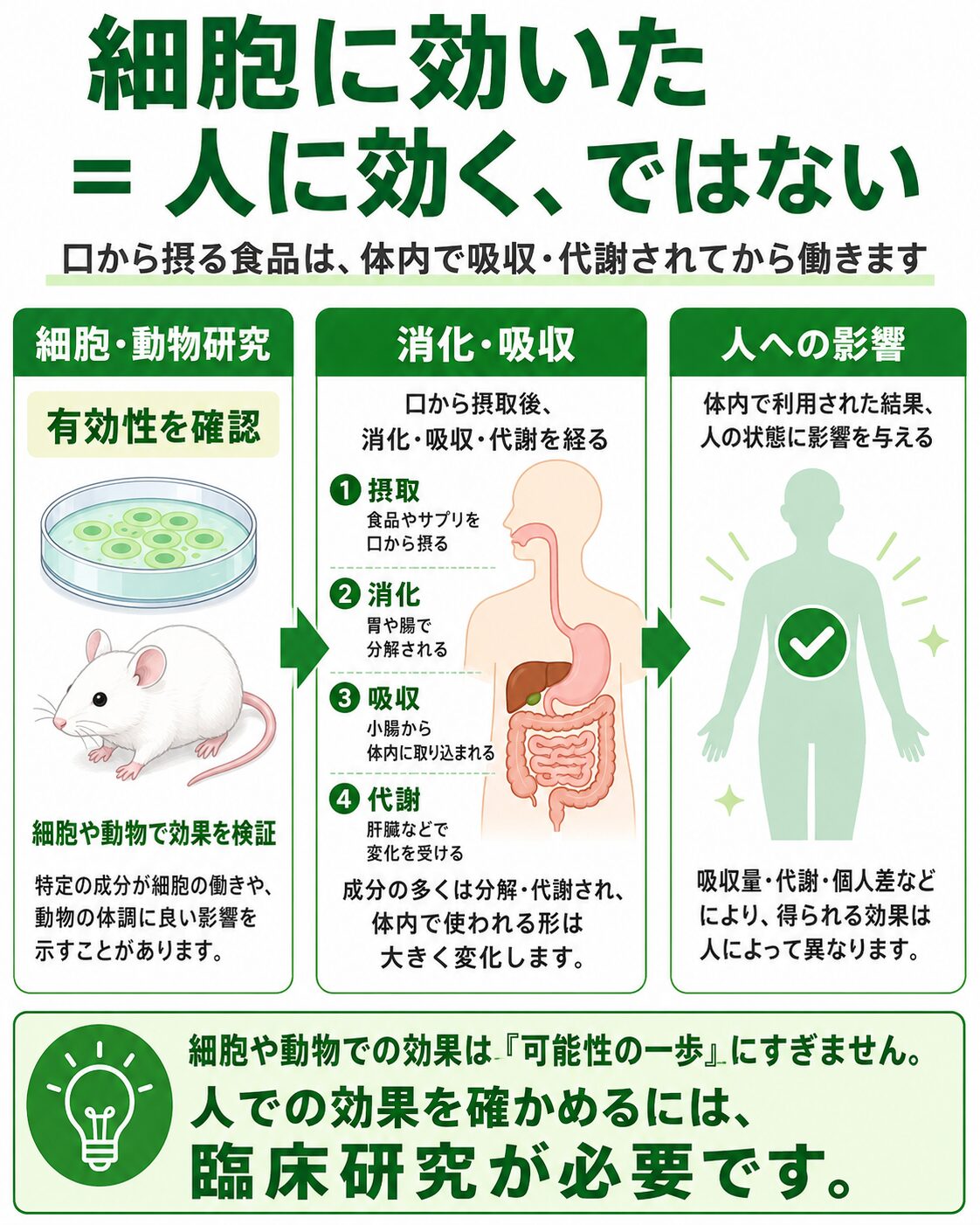 細胞研究や動物研究の結果を人のがん治療に直接当てはめられない理由