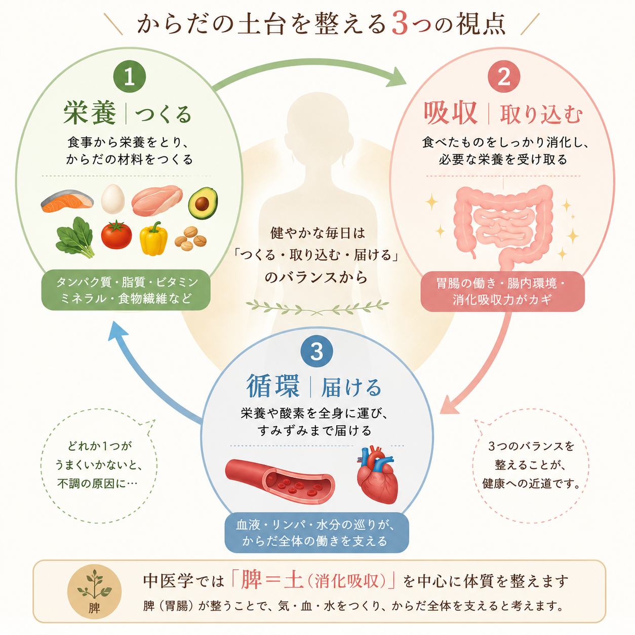栄養・吸収・循環の3つの視点からからだの土台を整えるほどよい堂の考え方