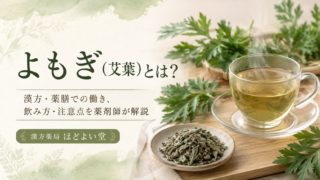 よもぎ（艾葉）とは？漢方・薬膳での働き、飲み方・注意点を薬剤師が解説