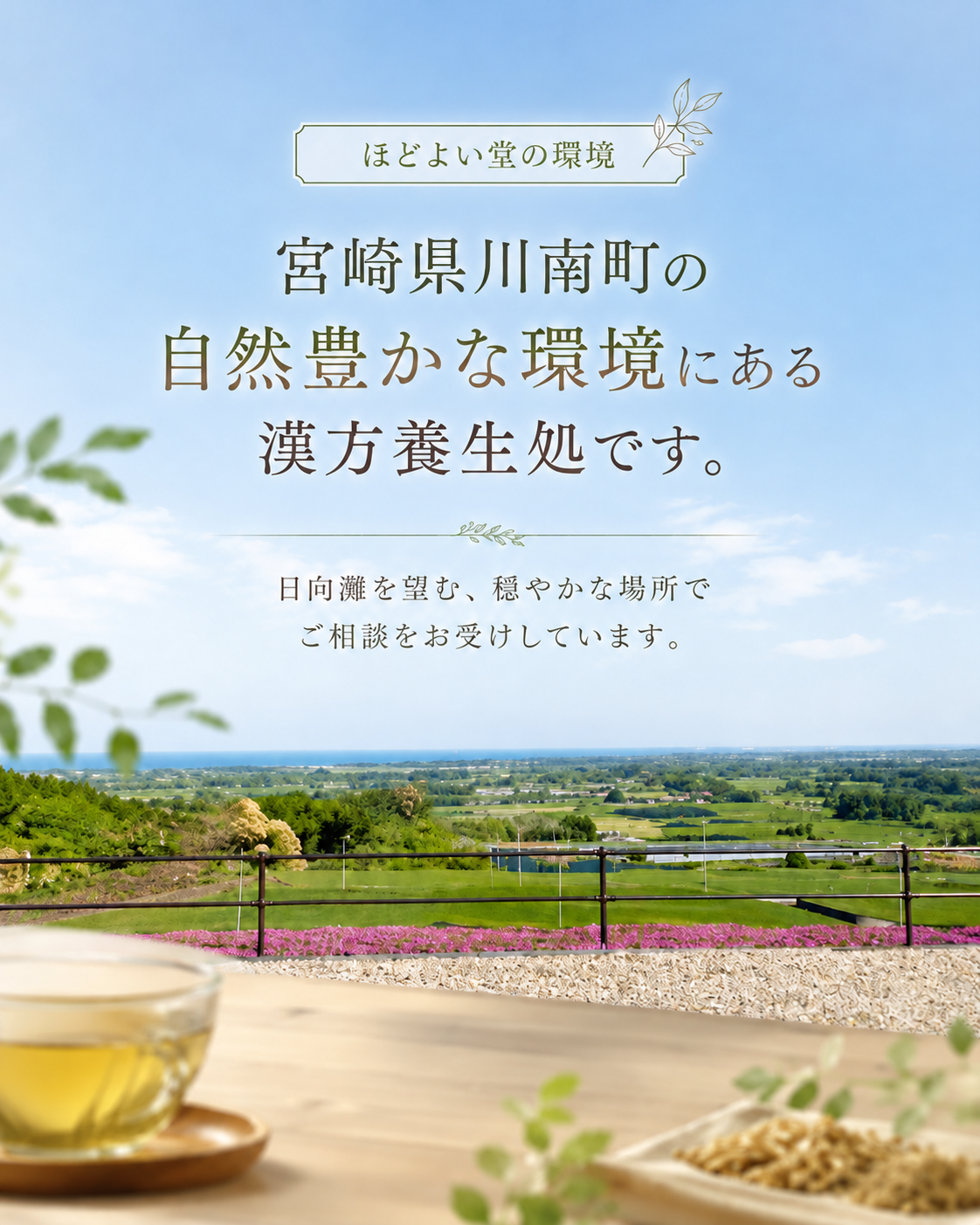 宮崎県川南町の自然豊かな環境にある漢方処ほどよい堂の紹介