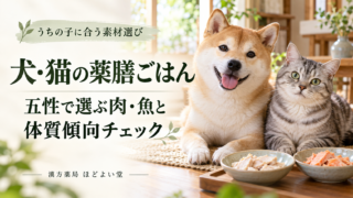 犬・猫のペットフードの選び方|薬膳の視点とおすすめ10選【ほどよい堂】